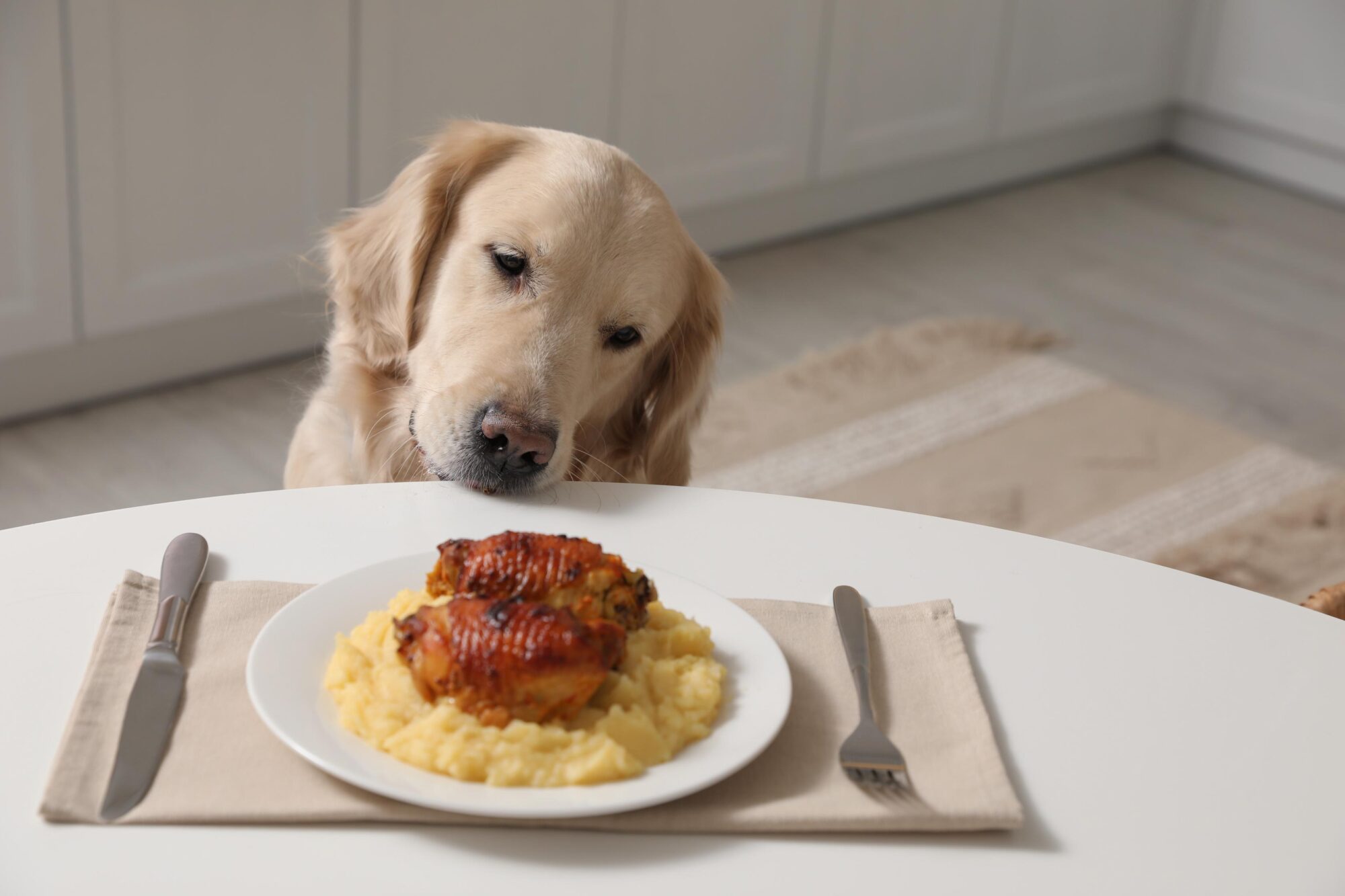 Holiday Hazards for Pets: Pancreatitis in Dogs and Festive Foods