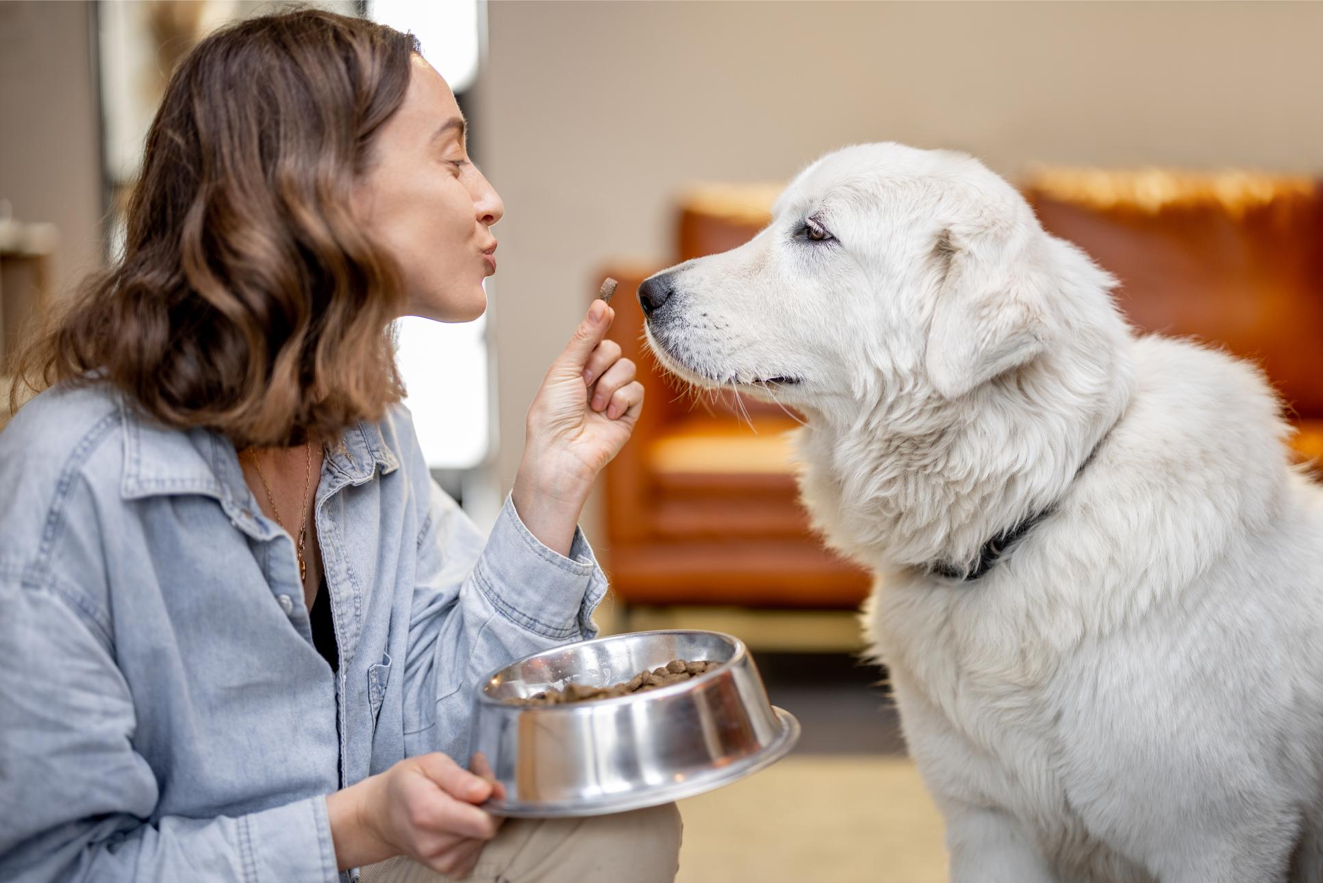 Gentle Feeding Tips for Toothless Dogs and Cats