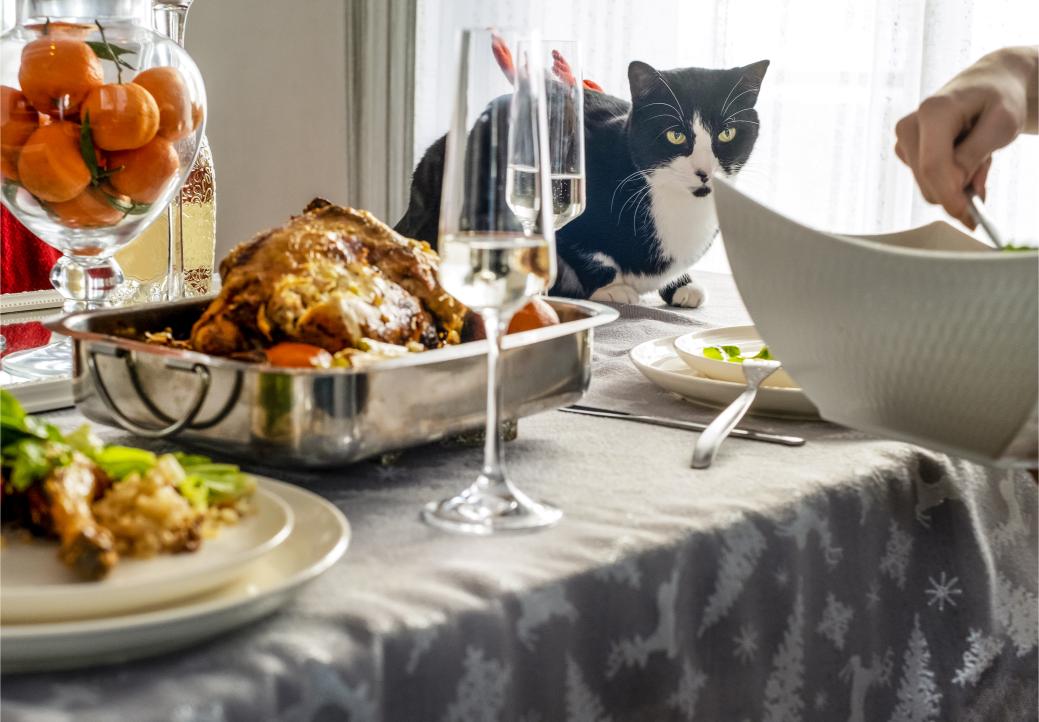 The Ultimate Pet-Safe Thanksgiving