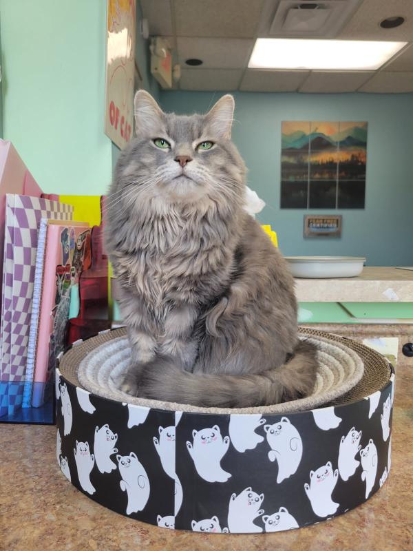 Tuna Murray, Superior Tuna Murray, Superior